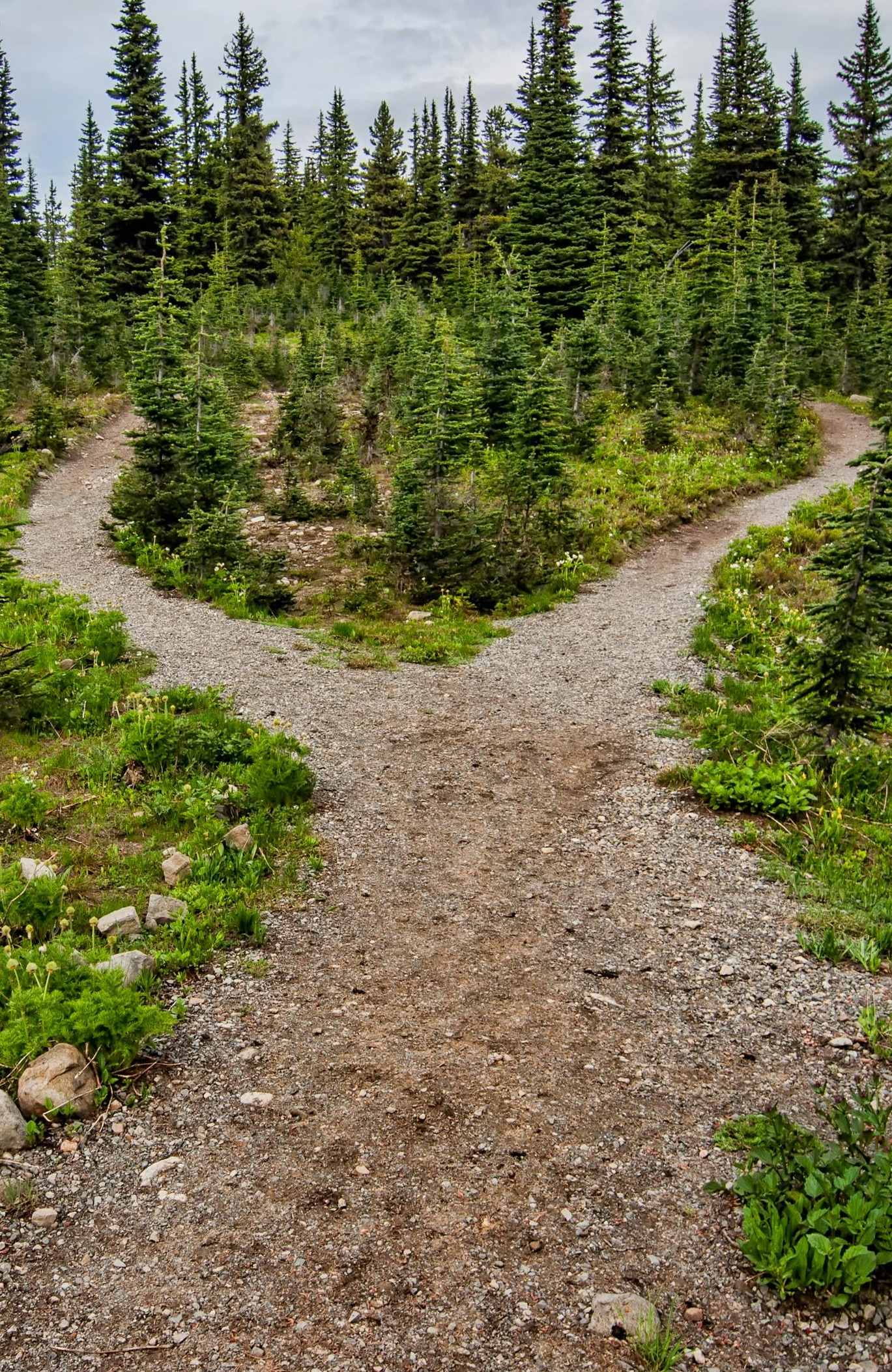 le chemin